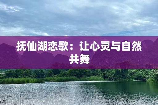 抚仙湖恋歌：让心灵与自然共舞