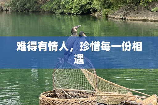 难得有情人，珍惜每一份相遇