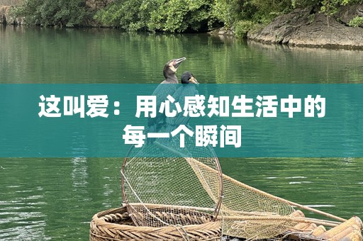 这叫爱：用心感知生活中的每一个瞬间