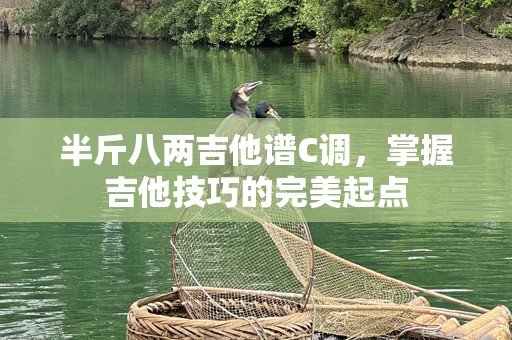 半斤八两吉他谱C调，掌握吉他技巧的完美起点
