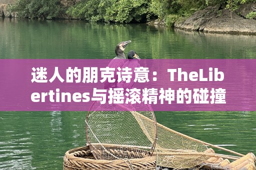 迷人的朋克诗意：TheLibertines与摇滚精神的碰撞