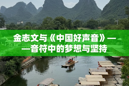 金志文与《中国好声音》——音符中的梦想与坚持