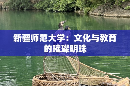 新疆师范大学：文化与教育的璀璨明珠