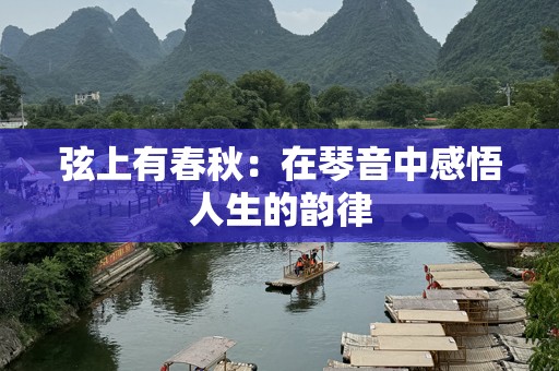 弦上有春秋：在琴音中感悟人生的韵律