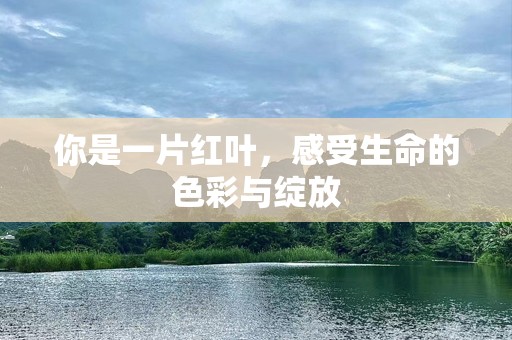 你是一片红叶，感受生命的色彩与绽放