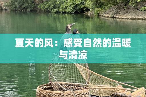 夏天的风：感受自然的温暖与清凉