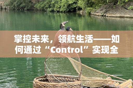 掌控未来，领航生活——如何通过“Control”实现全面自我管理
