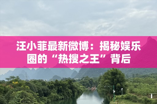 汪小菲最新微博：揭秘娱乐圈的“热搜之王”背后