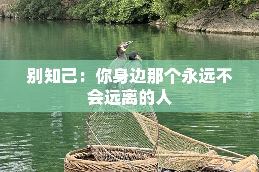 别知己：你身边那个永远不会远离的人