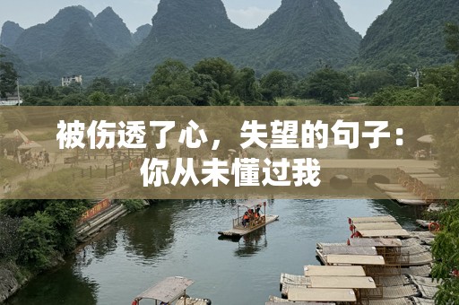 被伤透了心，失望的句子：你从未懂过我