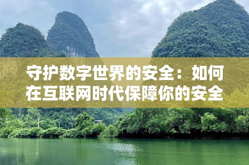 守护数字世界的安全：如何在互联网时代保障你的安全