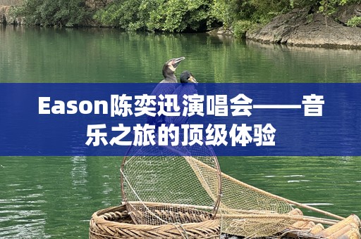 Eason陈奕迅演唱会——音乐之旅的顶级体验