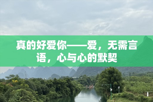 真的好爱你——爱，无需言语，心与心的默契