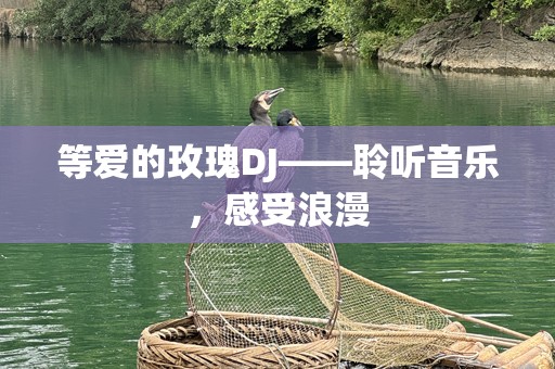 等爱的玫瑰DJ——聆听音乐，感受浪漫