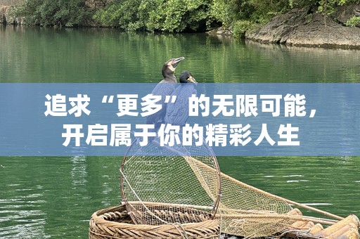 追求“更多”的无限可能，开启属于你的精彩人生