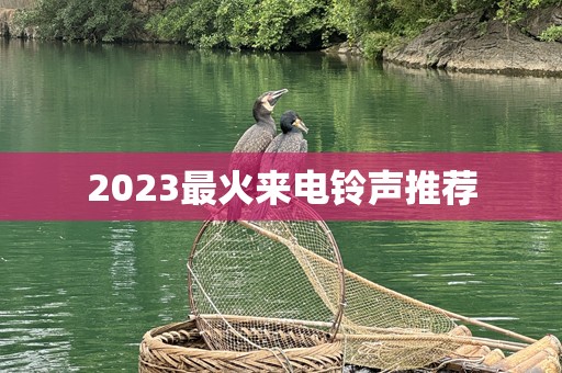 2023最火来电***推荐