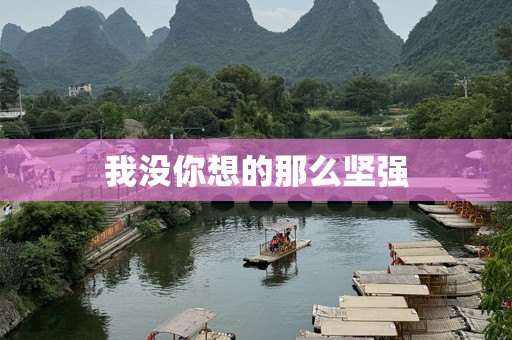 我没你想的那么坚强