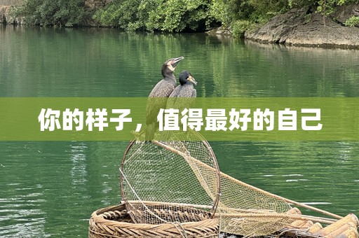 你的样子，值得最好的自己