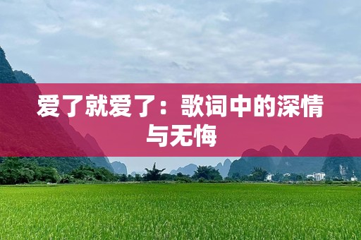 爱了就爱了：歌词中的深情与无悔