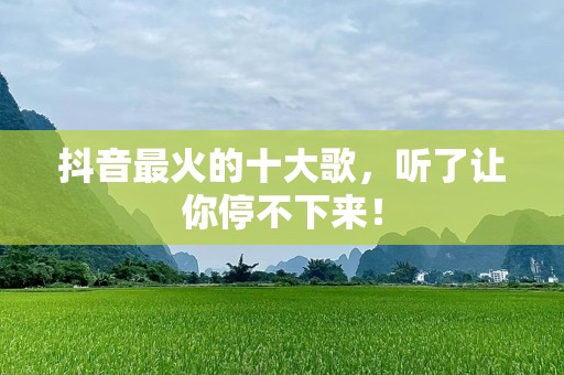 抖音最火的十大歌，听了让你停不下来！