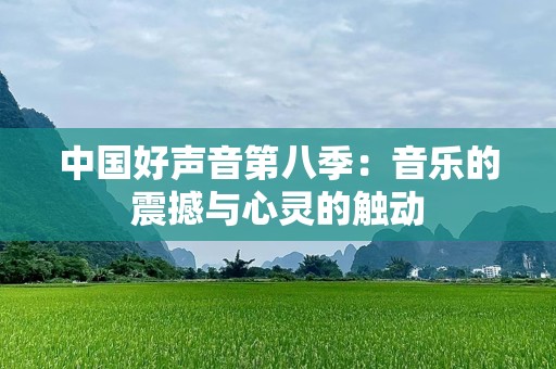 中国好声音第八季：音乐的震撼与心灵的触动