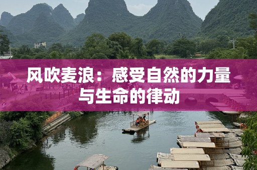 风吹麦浪：感受自然的力量与生命的律动