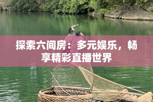 探索六间房：多元娱乐，畅享精彩直播世界