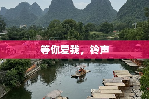 等你爱我，铃声