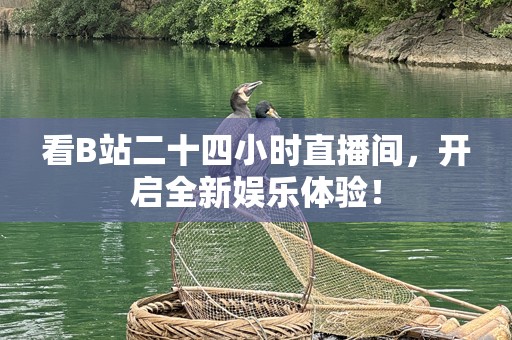 看B站二十四小时直播间，开启全新娱乐体验！