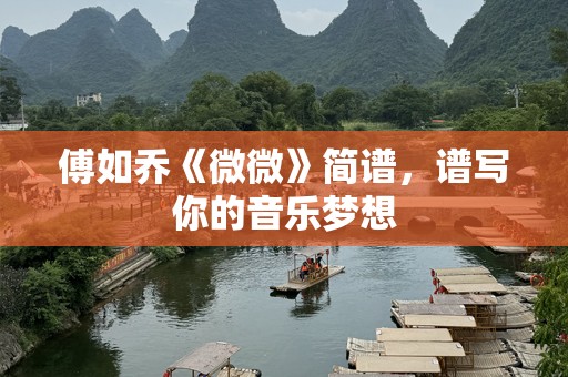 傅如乔《微微》简谱，谱写你的音乐梦想