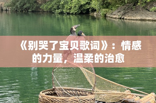 《别哭了宝贝歌词》：情感的力量，温柔的治愈