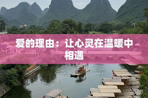 爱的理由：让心灵在温暖中相遇