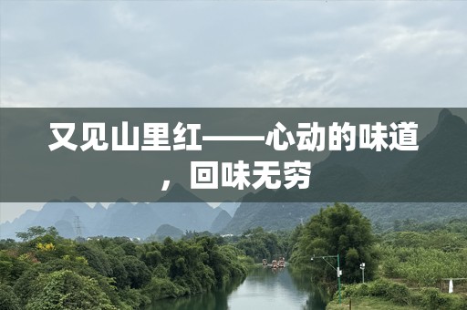 又见山里红——心动的味道，回味无穷
