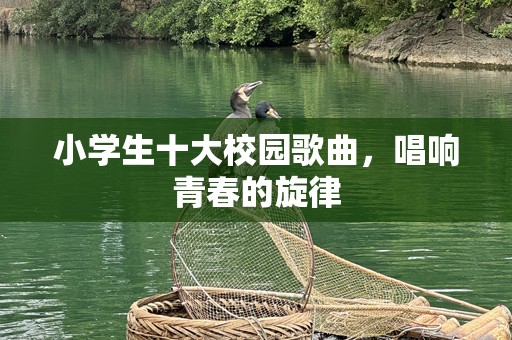 小学生十大校园歌曲，唱响青春的旋律