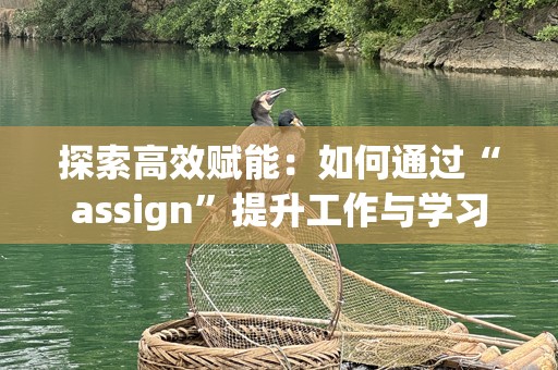 探索高效赋能：如何通过“assign”提升工作与学习效率？