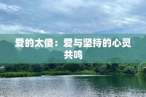 爱的太傻：爱与坚持的心灵共鸣