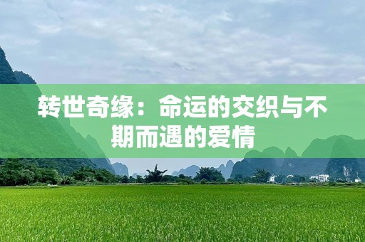 转世奇缘：命运的交织与不期而遇的爱情