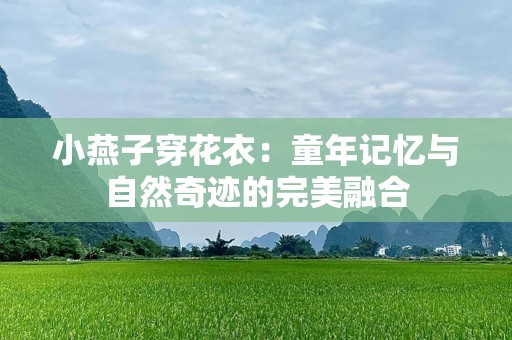 小燕子穿花衣：童年记忆与自然奇迹的完美融合