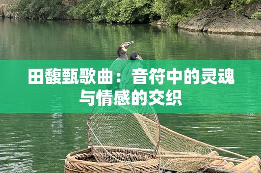 田馥甄歌曲：音符中的灵魂与情感的交织