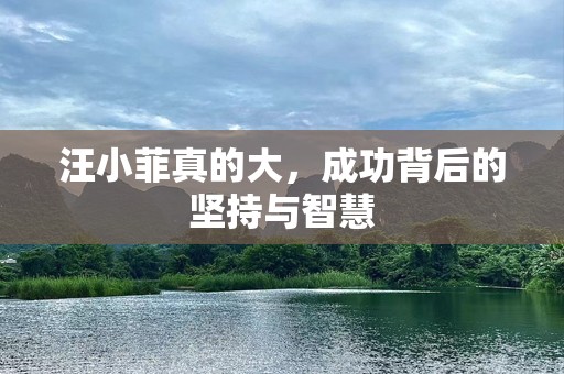 汪小菲真的大，成功背后的坚持与智慧