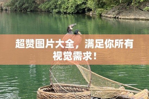 超赞图片大全，满足你所有视觉需求！
