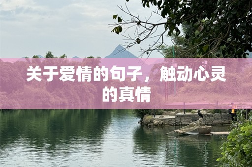 关于爱情的句子，触动心灵的真情