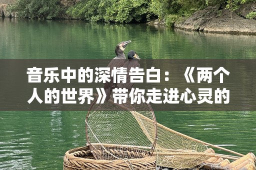 音乐中的深情告白：《两个人的世界》带你走进心灵的另一端