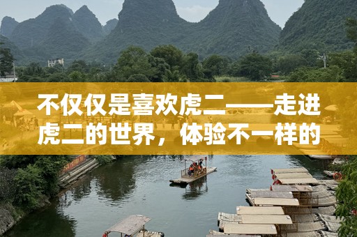 不仅仅是喜欢虎二——走进虎二的世界，体验不一样的魅力