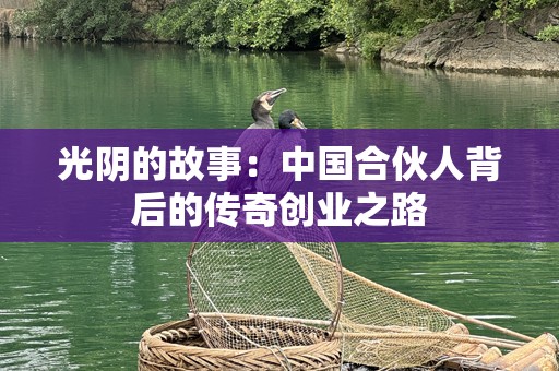 光阴的故事：中国合伙人背后的传奇创业之路