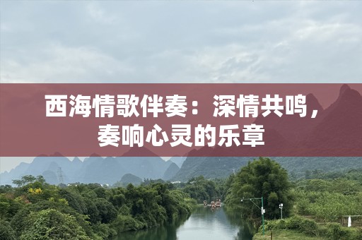 西海情歌伴奏：深情共鸣，奏响心灵的乐章