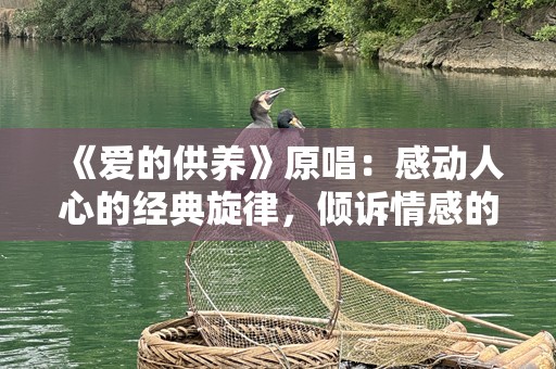 《爱的供养》原唱：感动人心的经典旋律，倾诉情感的力量