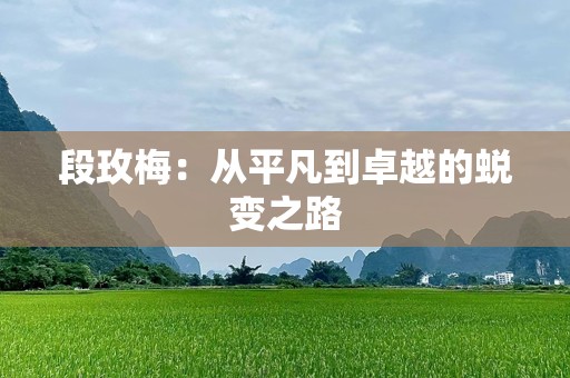 段玫梅：从平凡到卓越的蜕变之路