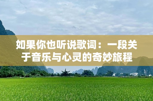 如果你也听说歌词：一段关于音乐与心灵的奇妙旅程