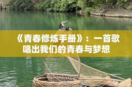 《青春修炼手册》：一首歌唱出我们的青春与梦想